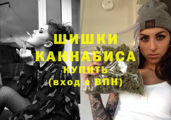 сатива Кинешма