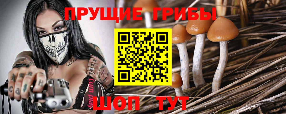 Псилоцибиновые грибы GOLDEN TEACHER  Вход с VPN  Истра 